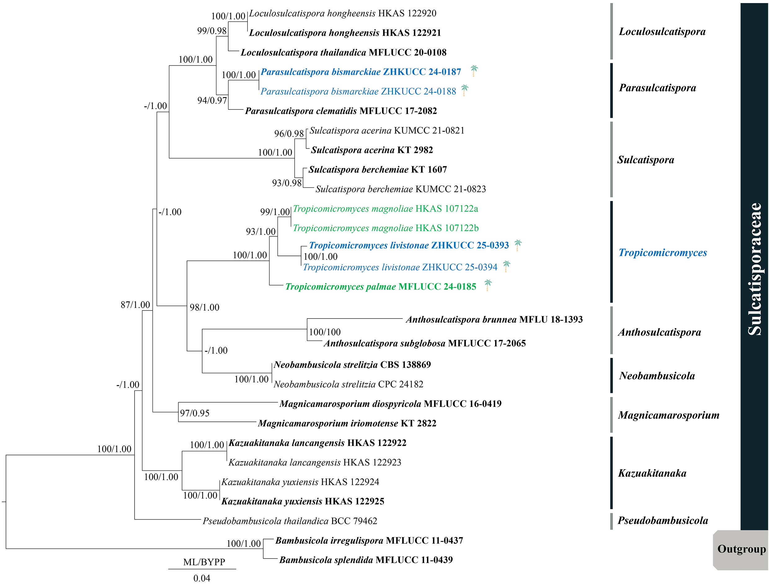 Figure 48
